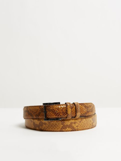 Kingsley Belt python camel front view
