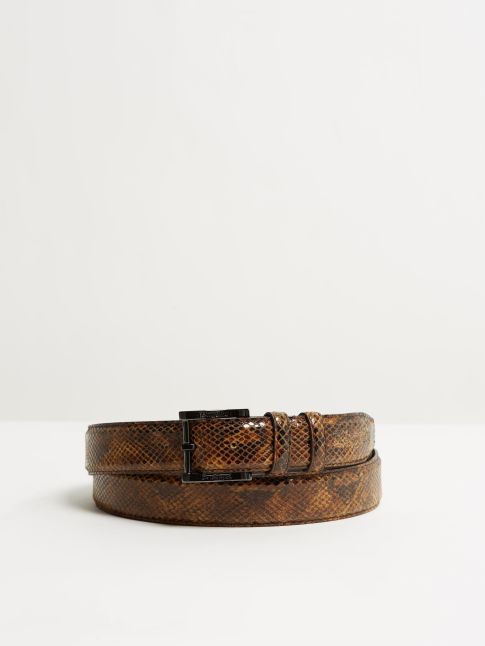 Kingsley Belt python brown front view